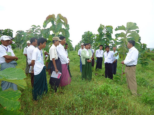 ၀န်ကြီးဌာနမှ တည်ထောင်ထားရှိသည့် စီးပွားရေးစိုက်ခင်း
