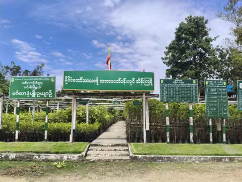 ရန်ကုန်တိုင်းဒေသကြီး၊ အင်းစိန်မြို့နယ်၊ မင်္ဂလာဒုံ သစ်တောပျိုးဥယျာဉ်