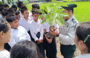 Article image 1