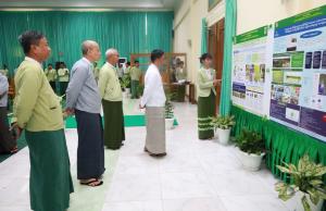 Article image 9
