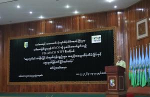 Article image 1
