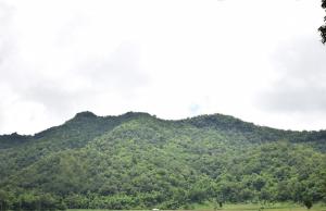 Article image 1