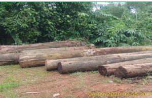 Article image 1