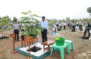 Article image 4
