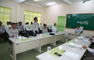 Article image 5