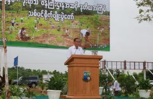 Article image 1